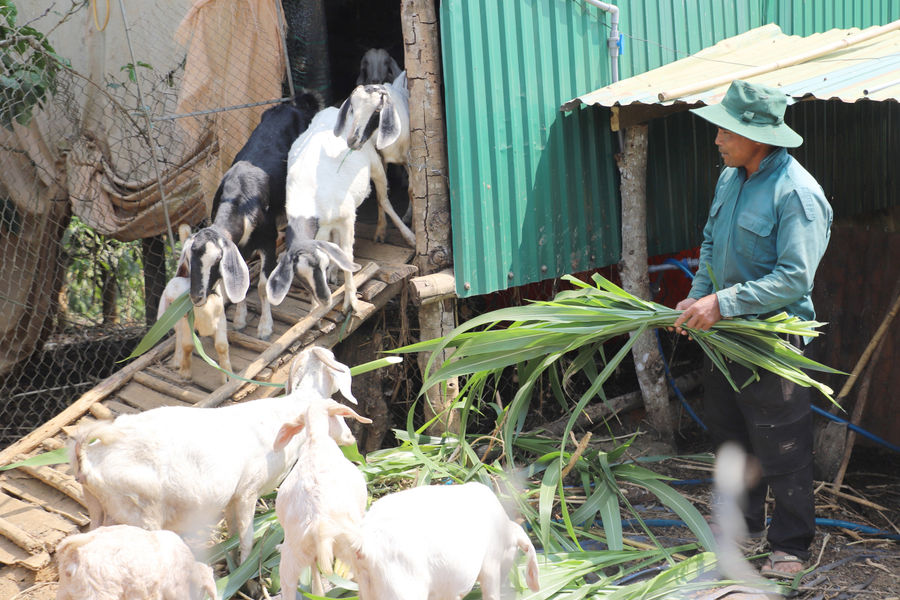 Thêm động lực cho vùng DTTS giảm nghèo bền vững