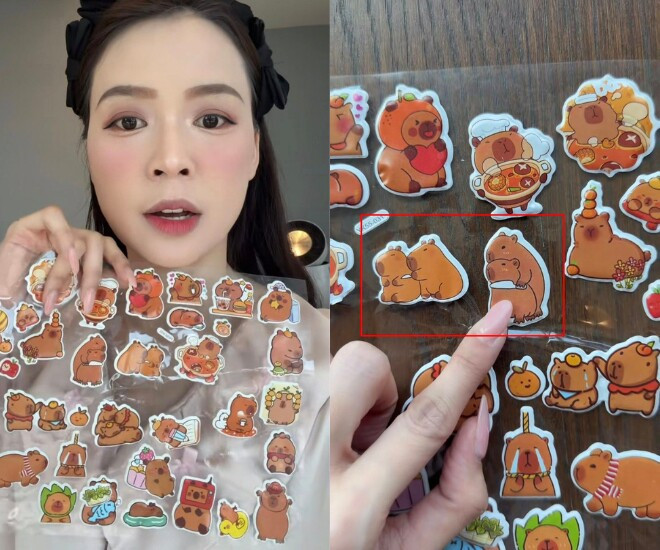 Diễn viên Sam cảnh báo rủi ro từ đồ chơi Capybara: Nguy cơ trẻ học theo hành vi bạo lực