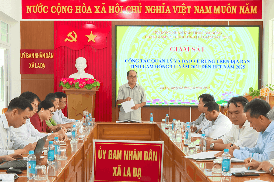 HĐND tỉnh Lâm Đồng giám sát công tác bảo vệ rừng tại Công ty Lâm nghiệp Bình Thuận
