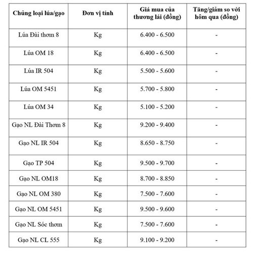 Giá lúa gạo ngày 3/6/2026: Miền Tây ổn định, giá gạo xuất khẩu Việt Nam giảm 15 USD/tấn