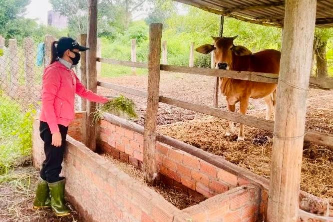 Sông Lũy tạo sinh kế bền vững cho đồng bào DTTS