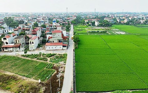 Đất lúa cạnh khu dân cư có được chuyển sang đất ở?