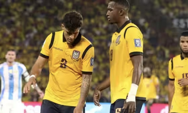 Hồ sơ Ecuador tại World Cup 2026: Hàng thủ thép và tham vọng 'ngựa ô' của Sebastian Beccacece