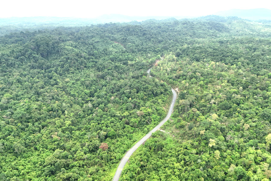 Ethnic Minorities Join Efforts to Protect Lam Dong Forests