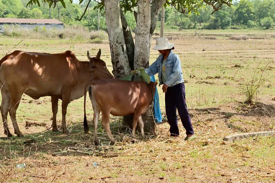 Trao sinh kế, gieo niềm tin thoát nghèo