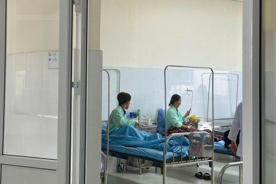 Lâm Đồng báo động nguy cơ ngộ độc nấm mùa mưa