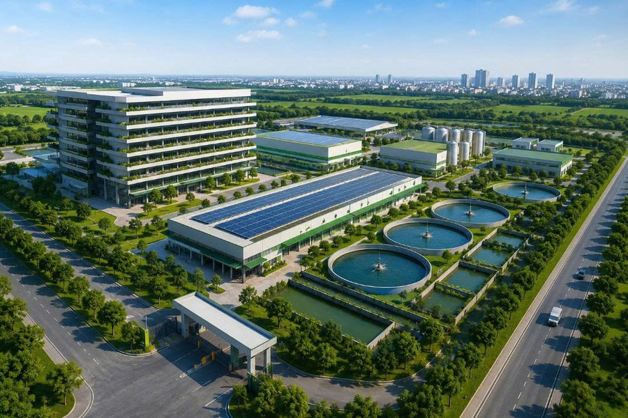 Hà Nội nghiên cứu tổ hợp chăn nuôi lợn cao tầng quy mô 220ha tại 3 xã