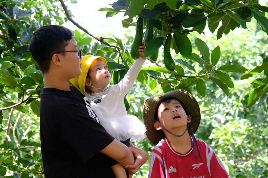 A Community Tourism Village Takes Shape Along the Da Nhim River