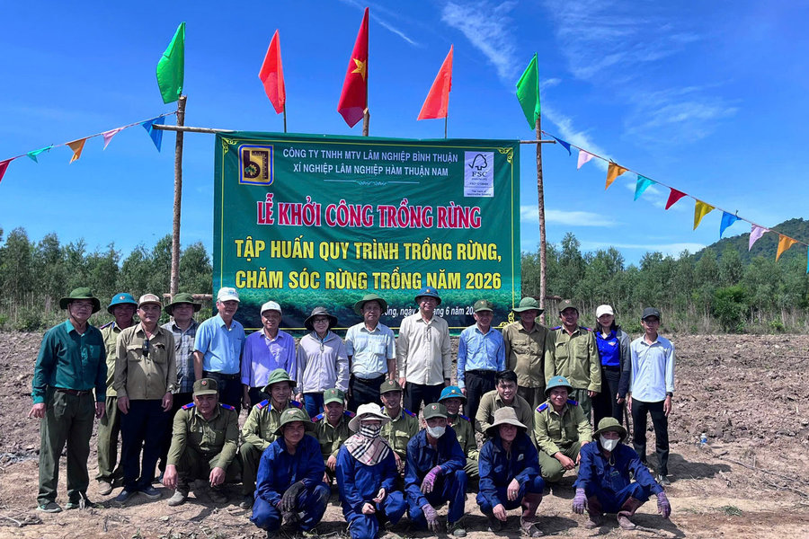 Công ty TNHH MTV Lâm nghiệp Bình Thuận khởi công trồng rừng năm 2026