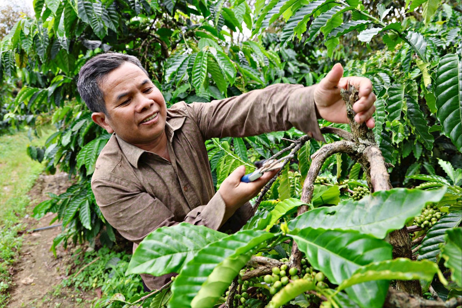 Để sản phẩm OCOP Đam Rông 2 vươn xa