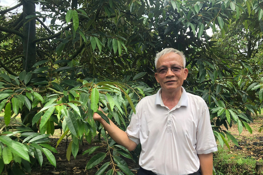 Trailblazing Farmers in Lam Dong