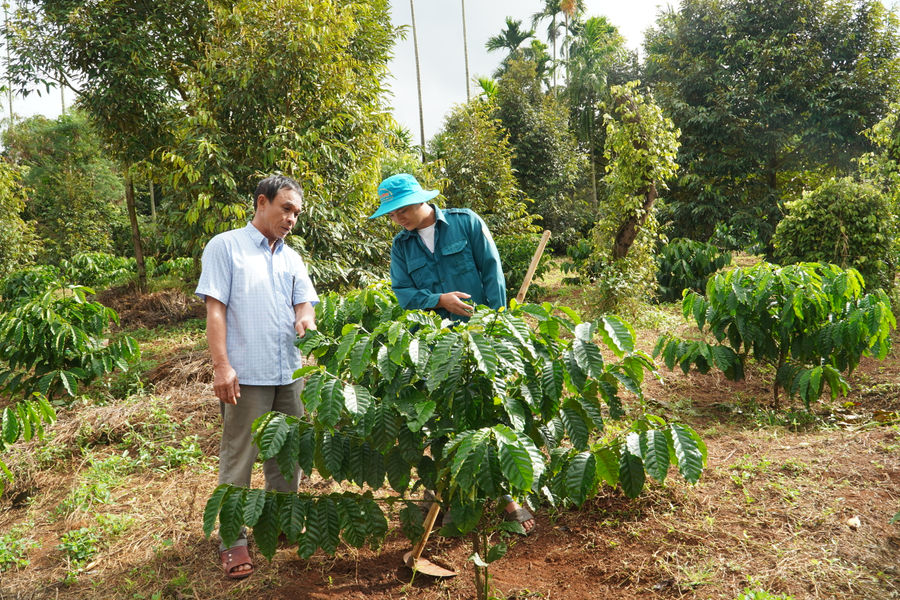 Cán bộ cơ sở đồng hành cùng chủ trương sắp xếp thôn, bon