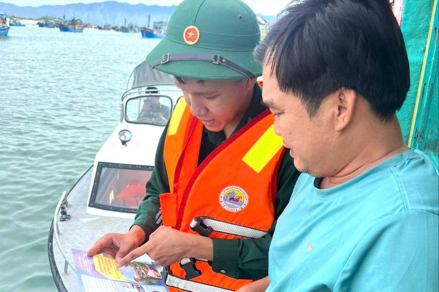 Lâm Đồng siết kiểm soát tàu cá xuất, nhập bến để ngăn vi phạm IUU