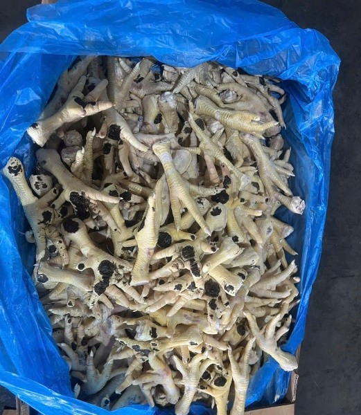 Khởi tố Giám đốc buôn lậu hơn 10.000 tấn chân gà tại TP Hà Nội