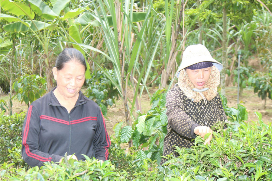 Làng Mông dưới ngọn núi Chúa
