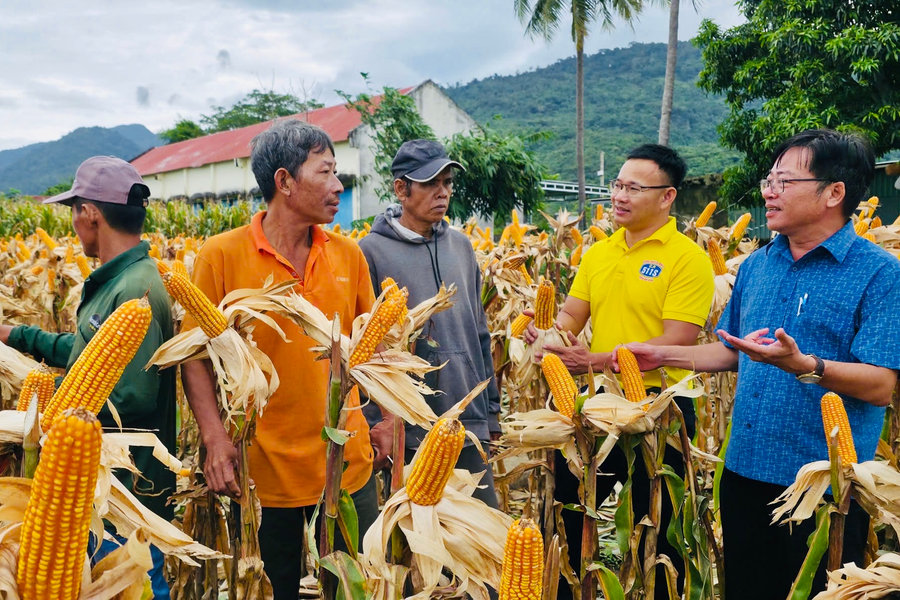 Tiếp sức để đồng bào vươn lên
