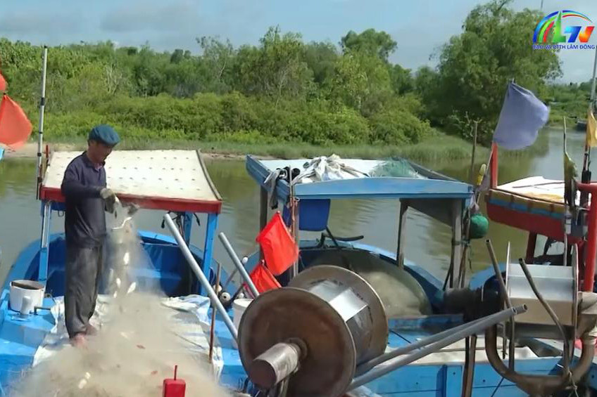 Xã Bãi Ngang chung tay gỡ thẻ vàng IUU