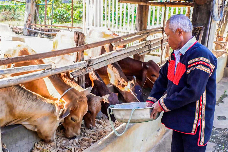 Đồng bào dân tộc thiểu số làm giàu bằng tư duy đổi mới