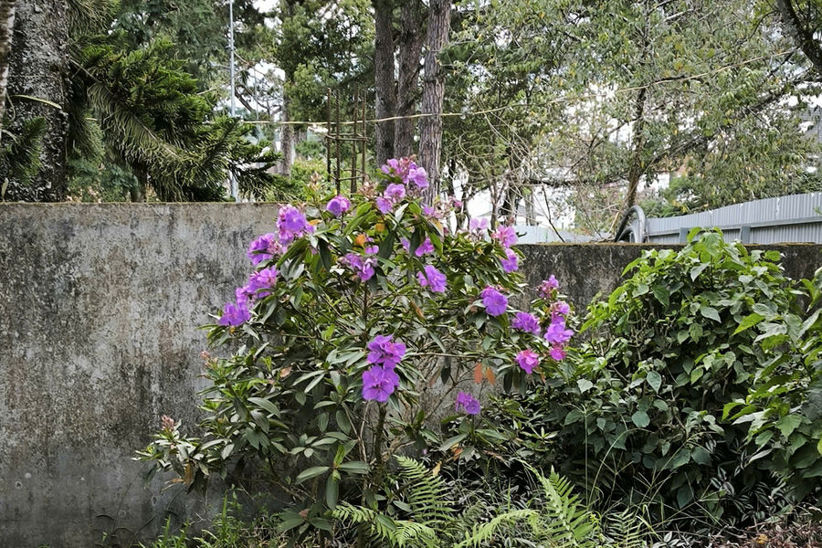 Gia đình - nơi ta cần về