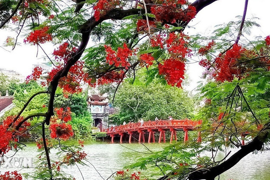 29 luật quan trọng bắt đầu có hiệu lực thi hành kể từ ngày 1/7 sắp tới