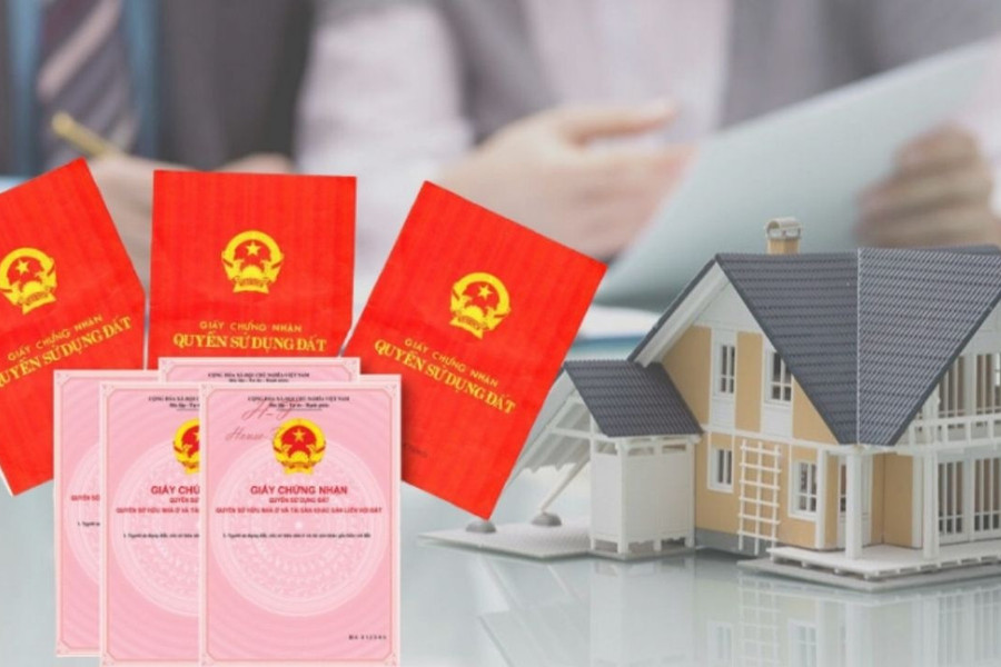 Luật Đất đai 2024: 3 nhóm đối tượng không được nhận chuyển nhượng quyền sử dụng đất