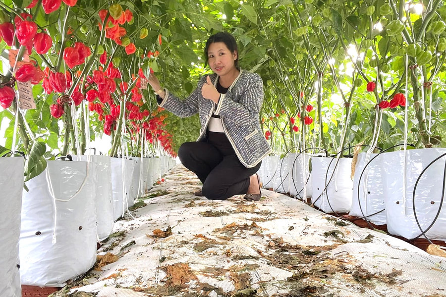 Tối ưu hóa doanh thu trên từng thửa vườn
