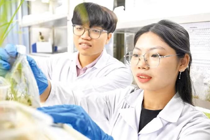 Nâng cao năng suất và giá trị nông sản