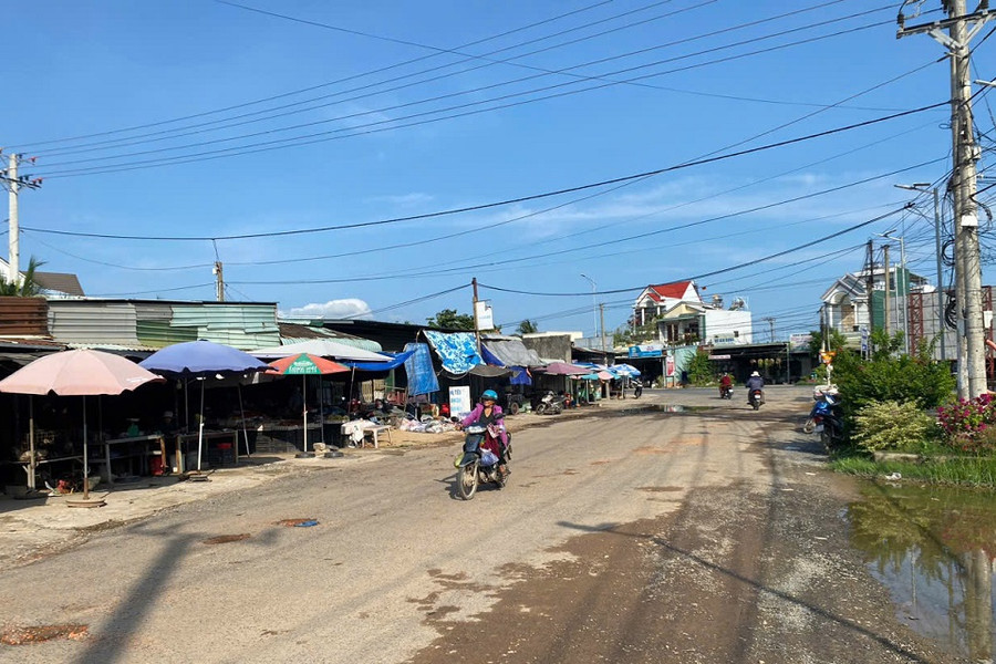 Một sớm mùa thu…