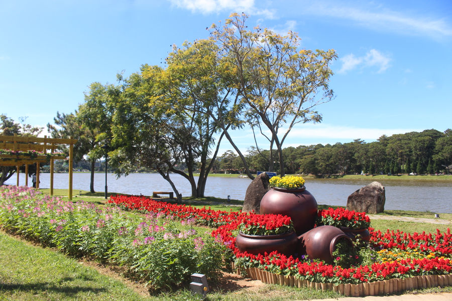 Khởi động Festival Hoa Đà Lạt lần thứ XI