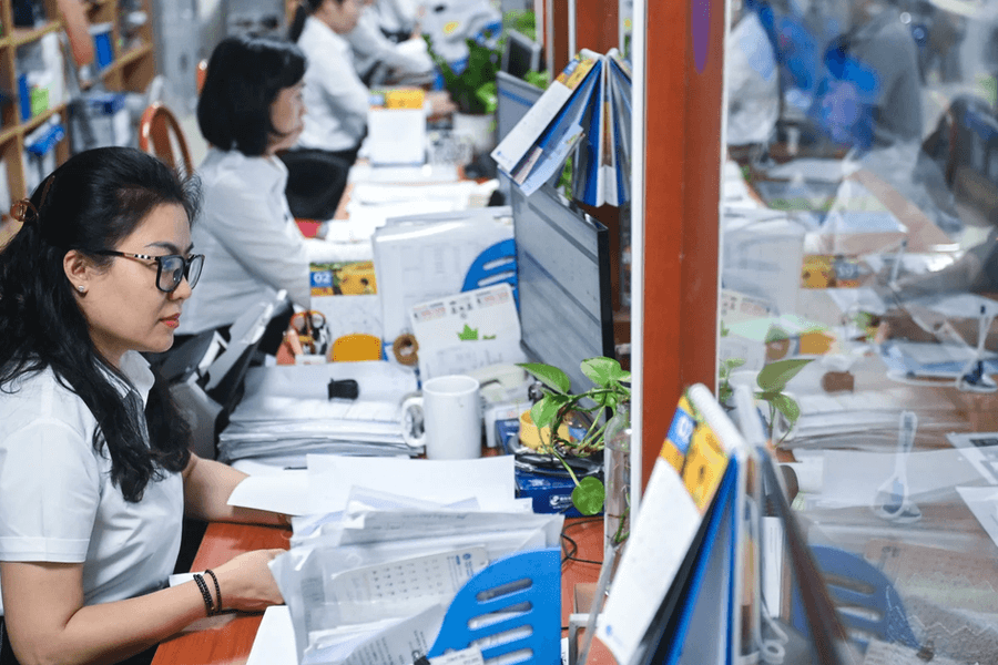 Quy định bậc nghề nghiệp áp dụng lương viên chức