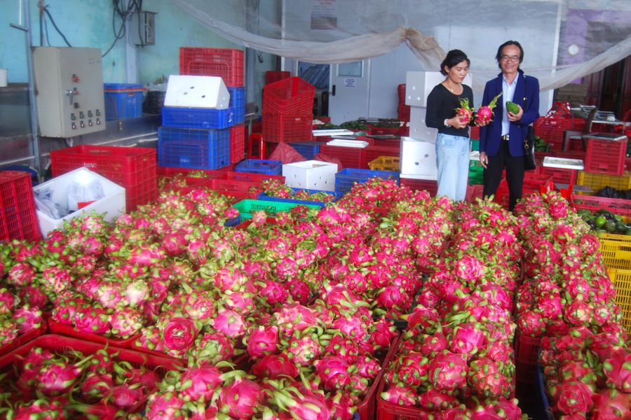 Đồng bộ chất lượng để mở rộng thị trường