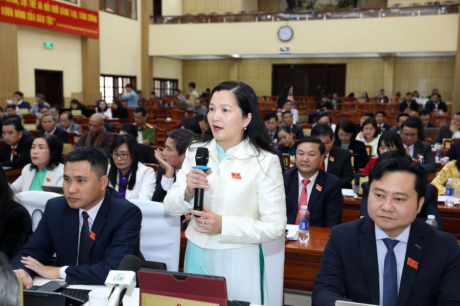 HĐND tỉnh Lâm Đồng chất vấn, làm rõ những vấn đề cử tri quan tâm