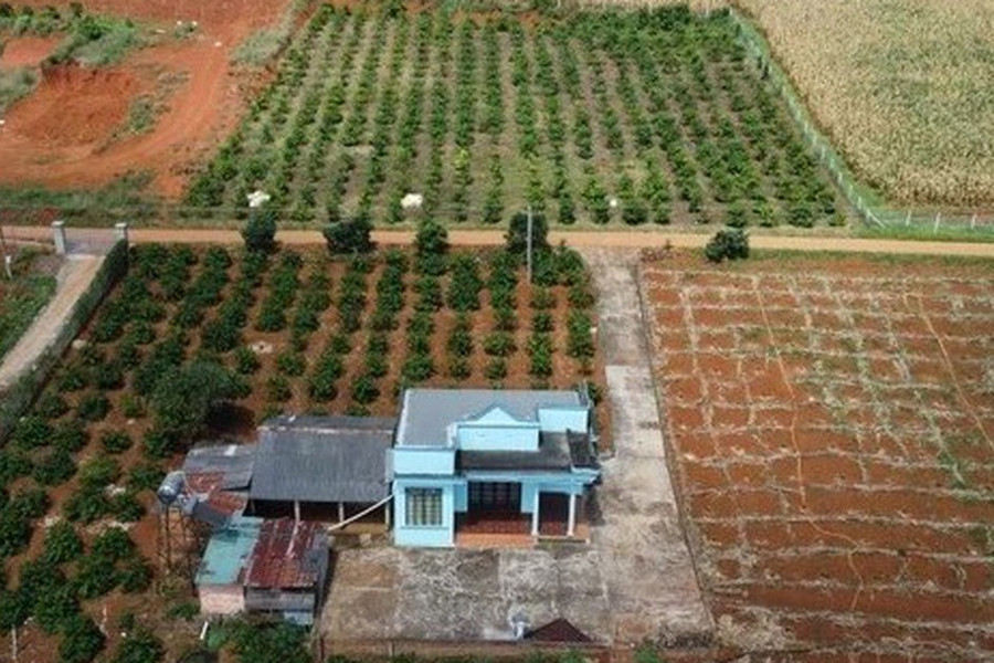 Chuyển mục đích một phần thửa đất có phải tách thửa?