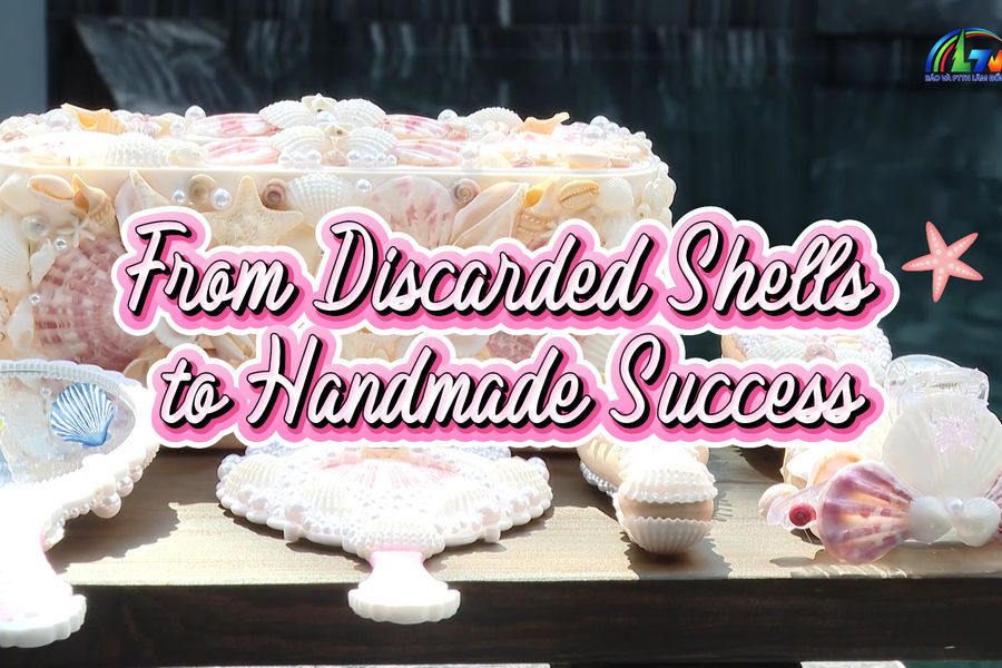 From Discarded Shells to Handmade Success