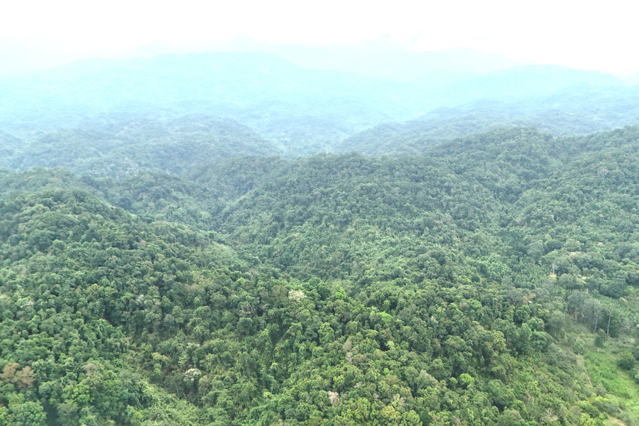 Safeguarding Southern Lam Dong's Green Lung