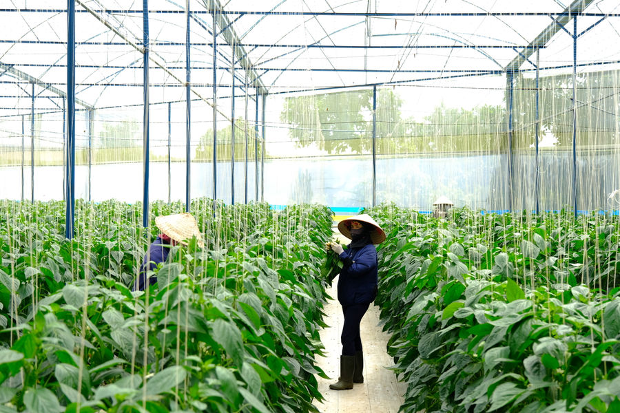 Cùng làm, cùng phát triển