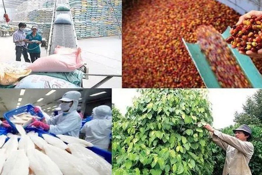 Xuất khẩu nông lâm thủy sản từ 70 đến 100 tỷ USD: Cần những bước đột phá mới