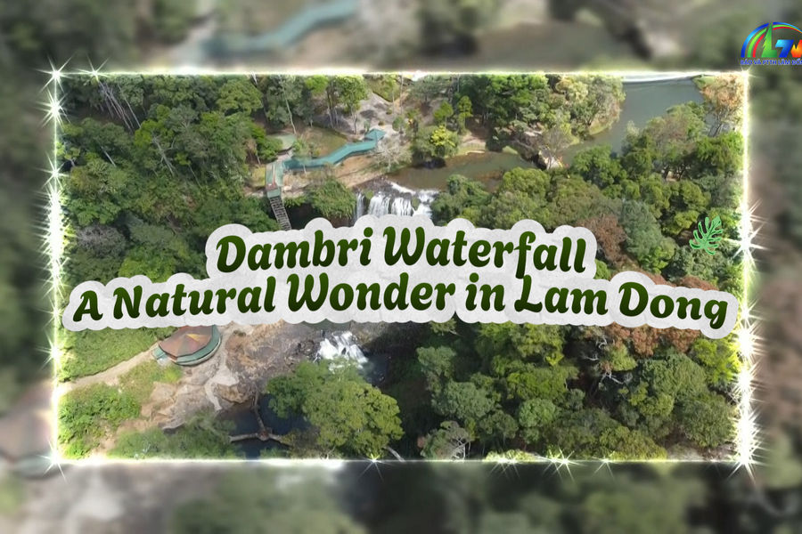 Dambri Waterfall: A Natural Wonder in Lam Dong