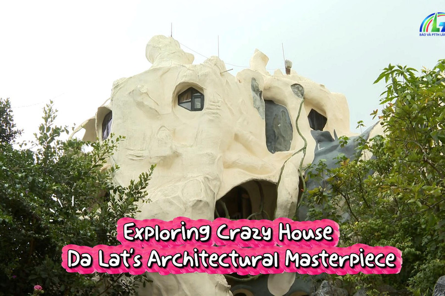 Exploring Crazy House – Da Lat's Architectural Masterpiece