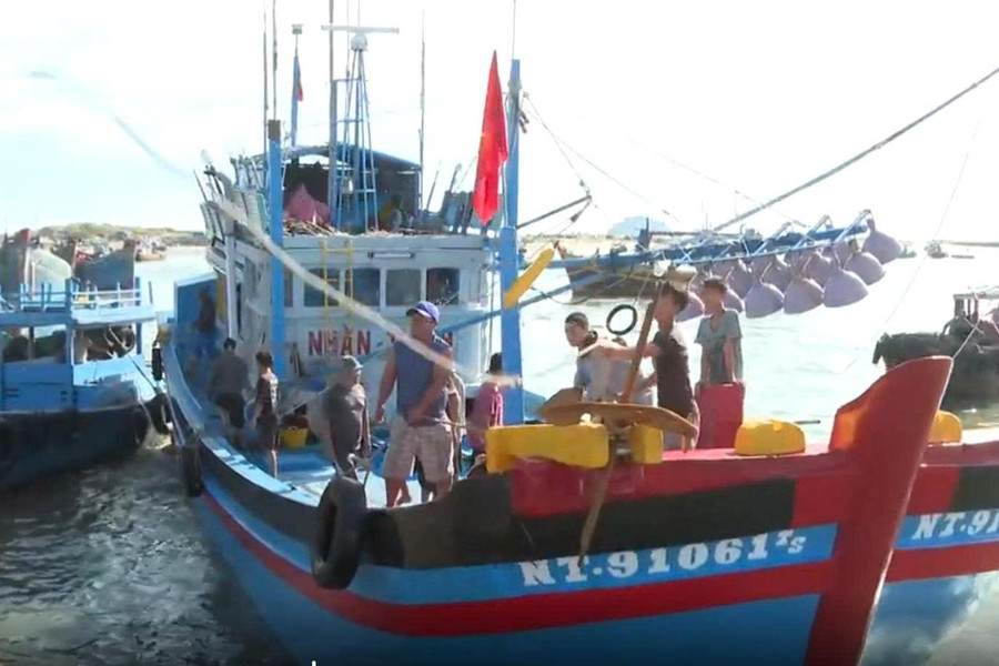 Phước Hội quyết liệt chống khai thác hải sản bất hợp pháp