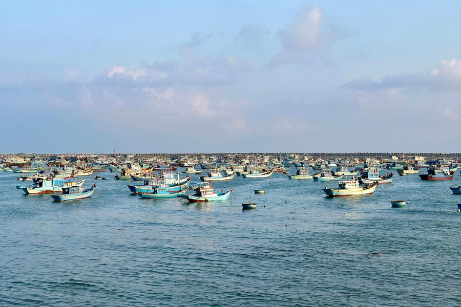 Nỗi lo thiếu lao động biển vụ cá nam