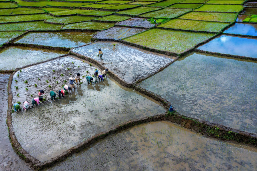 Tri thức địa phương - sinh kế của cộng đồng