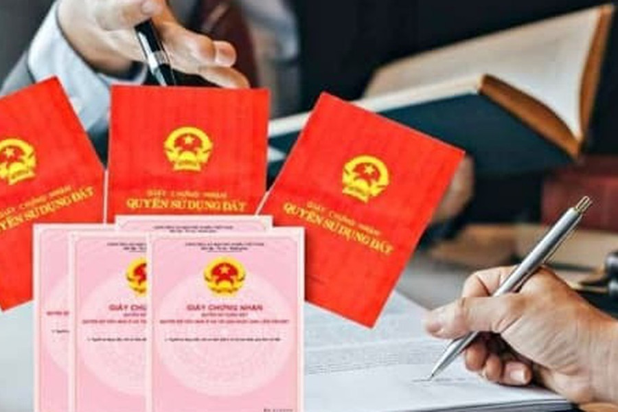 Trường hợp được đính chính Giấy chứng nhận quyền sử dụng đất