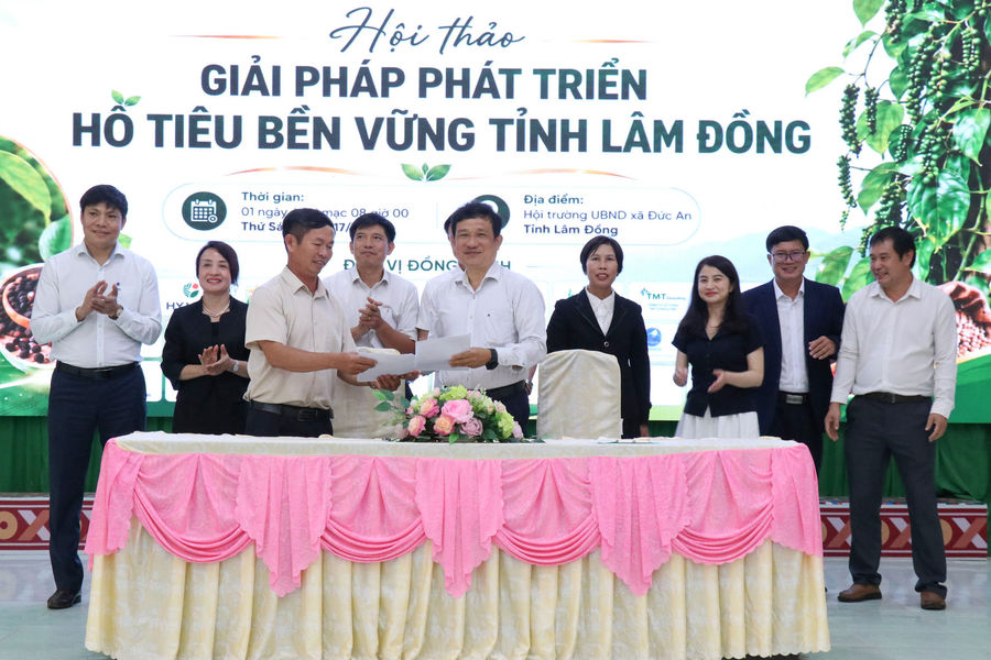 Link vao Dubai định hướng phát triển bền vững ngành hồ tiêu