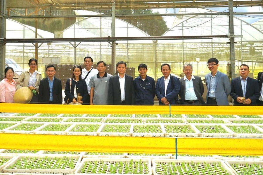 Investment Drives Lam Dong's Agricultural Products onto the Global Stage