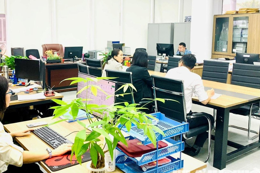 Căn cứ xếp ngạch công chức