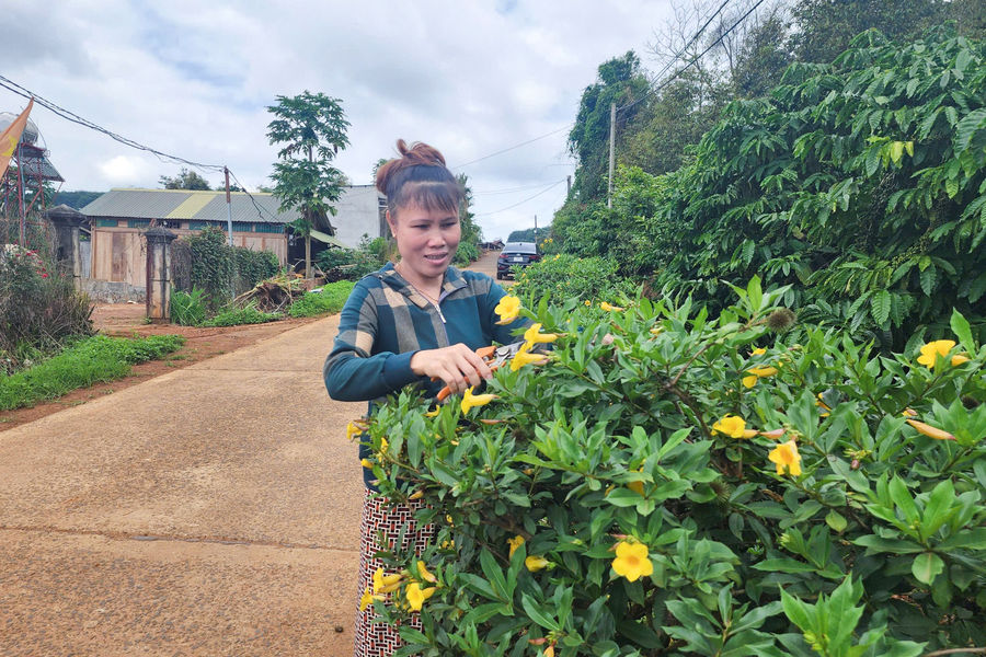 Tô Thị Hồng Vân - nữ cán bộ thôn dân tộc Tày đảm việc nước, giỏi việc nhà