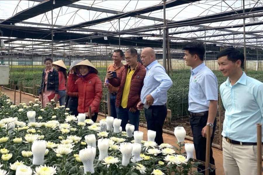 Thu hút đầu tư để nông sản vươn tầm