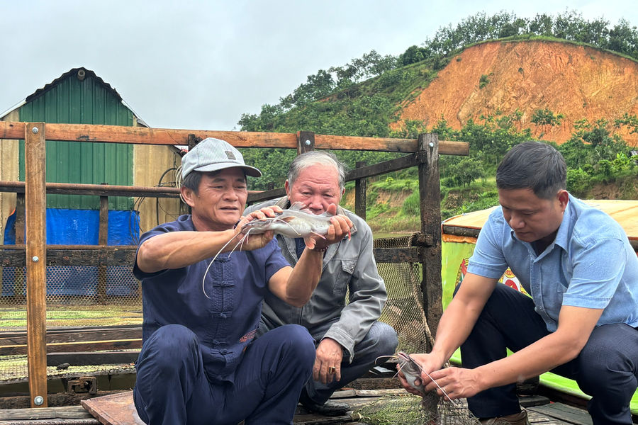 Nuôi cá bản địa trên dòng sông Đồng Nai