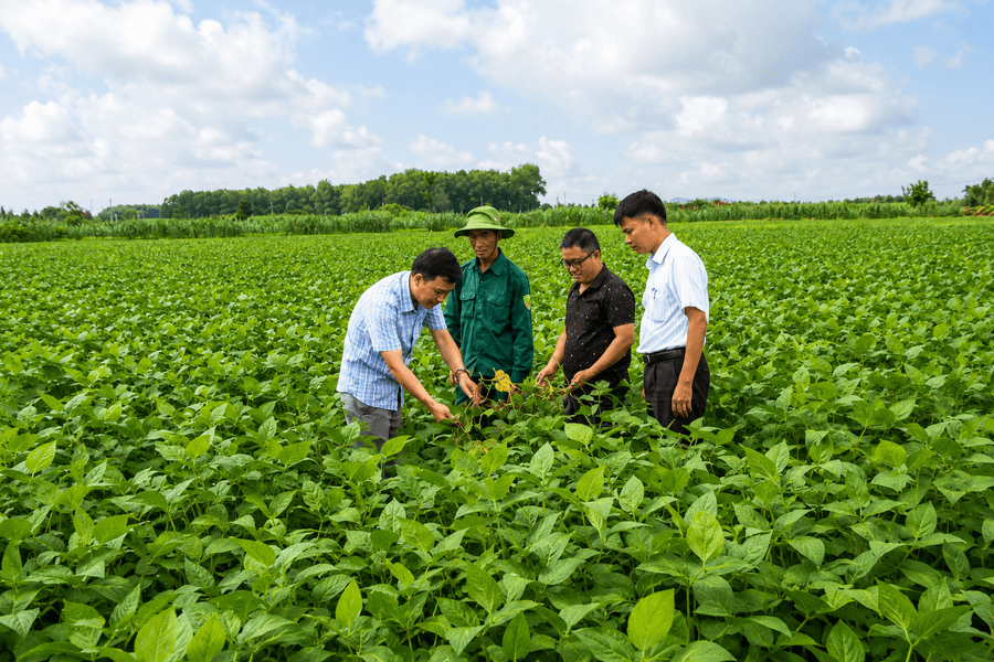 Nam Dong hướng đến nền nông nghiệp an toàn, nâng cao giá trị nông sản